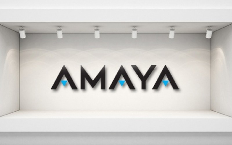 Финансовые возможности Amaya Inc. в 2015 году