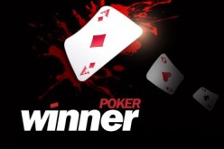 Бездепозитный бонус $10 и другие бонусы от Winner Poker
